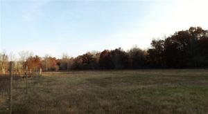 1806 N Pine Ave, White Cloud, MI 49349 photo 2