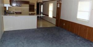 1806 N Pine Ave, White Cloud, MI 49349 photo 5