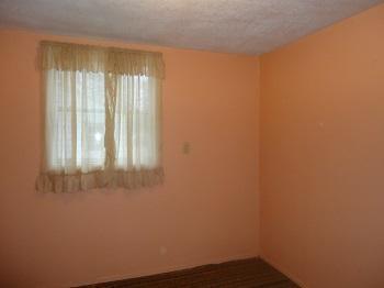 888 Woodruff, Stanton, MI 48888 photo 8