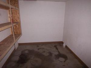 1421 N Spruce Ave, White Cloud, MI 49349 photo 20
