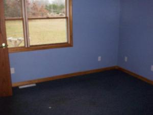 1421 N Spruce Ave, White Cloud, MI 49349 photo 9