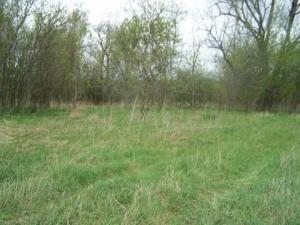 6508 Ostrum Rd, Belding, MI 48809 photo 3