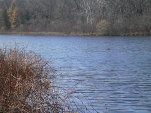 7900 Marsh Rd, Plainwell, MI 49080 photo 5