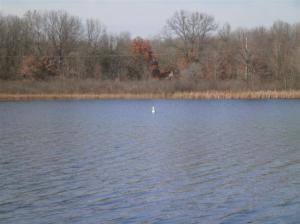 7900 Marsh Rd, Plainwell, MI 49080 photo 4
