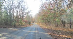 8198 E 1 Mile Rd, White Cloud, MI 49349 photo 3