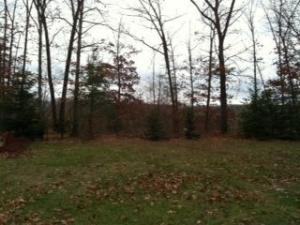 981 E 98th, Grant, MI 49327 photo 4