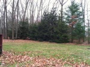981 E 98th, Grant, MI 49327 photo 2