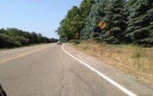 349 Flat River Dr SE, Lowell, MI 49331 photo 3