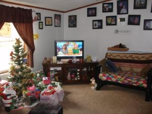 866 S Goode St, White Cloud, MI 49349 photo 14