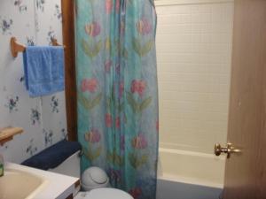 866 S Goode St, White Cloud, MI 49349 photo 12