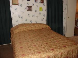 866 S Goode St, White Cloud, MI 49349 photo 7
