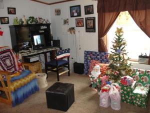866 S Goode St, White Cloud, MI 49349 photo 15