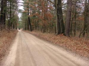 3166 S Laurel Dr, White Cloud, MI 49349 photo 7