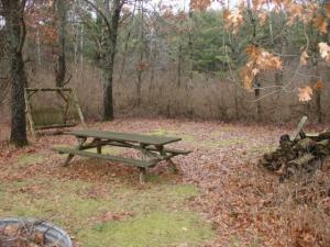 3166 S Laurel Dr, White Cloud, MI 49349 photo 2