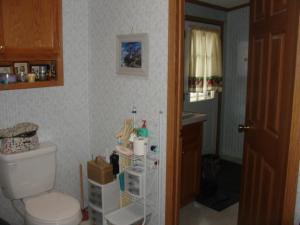 3166 S Laurel Dr, White Cloud, MI 49349 photo 13