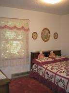 3740 E Shore Dr, Stanton, MI 48888 photo 11