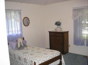 3740 E Shore Dr, Stanton, MI 48888 photo 10