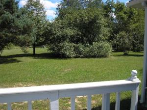 3740 E Shore Dr, Stanton, MI 48888 photo 4