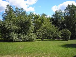 3740 E Shore Dr, Stanton, MI 48888 photo 5