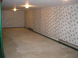 3740 E Shore Dr, Stanton, MI 48888 photo 13