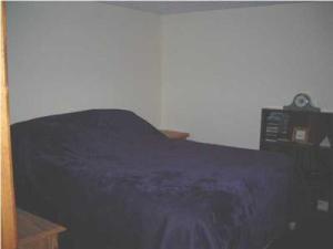 809 Pendleton Dr NE, Comstock Park, MI 49321 photo 9
