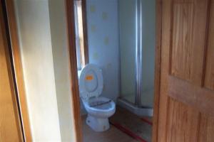 7649 S Wise Rd, Shepherd, MI 48883 photo 10
