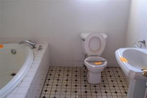 7649 S Wise Rd, Shepherd, MI 48883 photo 11