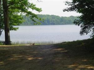 145 N Beech Rd, Walkerville, MI 49459 photo 24