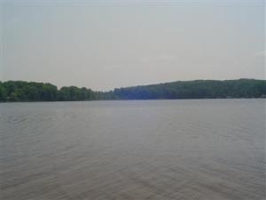 145 N Beech Rd, Walkerville, MI 49459 photo 8