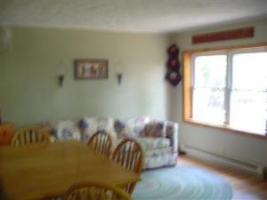 145 N Beech Rd, Walkerville, MI 49459 photo 9