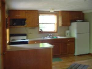 145 N Beech Rd, Walkerville, MI 49459 photo 10