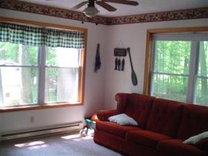 145 N Beech Rd, Walkerville, MI 49459 photo 15