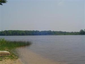 145 N Beech Rd, Walkerville, MI 49459 photo 7