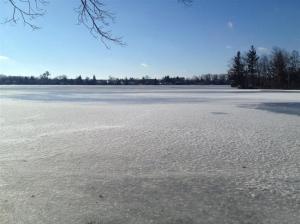 491 Spring Grove Rd, Stanton, MI 48888 photo 21
