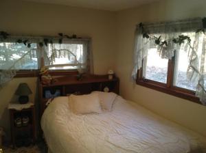 491 Spring Grove Rd, Stanton, MI 48888 photo 20