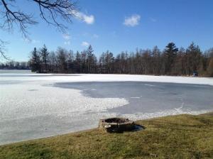 491 Spring Grove Rd, Stanton, MI 48888 photo 23