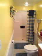 491 Spring Grove Rd, Stanton, MI 48888 photo 18