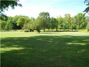 11303 Wood, Dewitt, MI 48820 photo 3