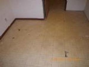 758 58th St, Pullman, MI 49450 photo 4