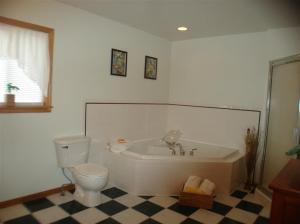 6522 E David Hwy, Lyons, MI 48851 photo 13