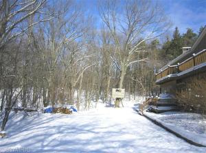 43 Deer Run Dr NE, Ada, MI 49301 photo 23