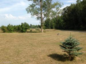 4053 E Colby Rd, Stanton, MI 48888 photo 11