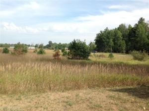 4053 E Colby Rd, Stanton, MI 48888 photo 8