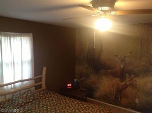 4053 E Colby Rd, Stanton, MI 48888 photo 20