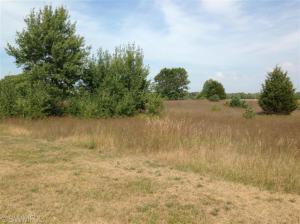 4053 E Colby Rd, Stanton, MI 48888 photo 9
