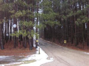 2858 N Luce Ave, White Cloud, MI 49349 photo 3