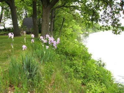 23753 Wakeman Rd, Mendon, MI 49072 photo 1