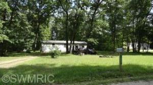 1491 E 16th St, White Cloud, MI 49349 photo 1