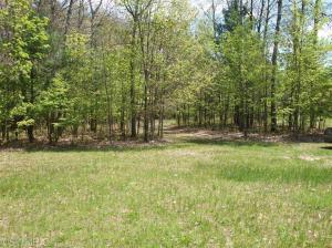 1225 N Apple Dr, White Cloud, MI 49349 photo 14