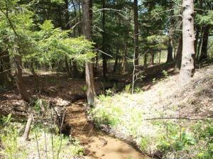 1225 N Apple Dr, White Cloud, MI 49349 photo 15